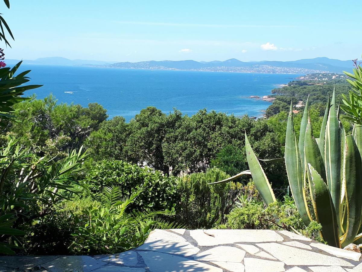 Duplex, Vue Panoramique Sur La Mediterranee, Piscine, Garage Saint-Raphaël Exteriér fotografie