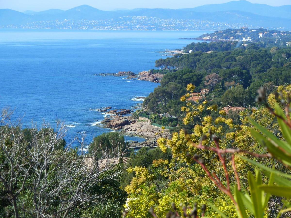 Duplex, Vue Panoramique Sur La Mediterranee, Piscine, Garage Saint-Raphaël Exteriér fotografie
