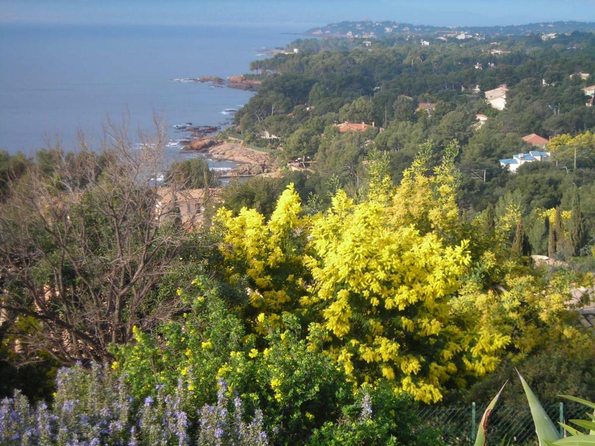 Duplex, Vue Panoramique Sur La Mediterranee, Piscine, Garage Saint-Raphaël Exteriér fotografie
